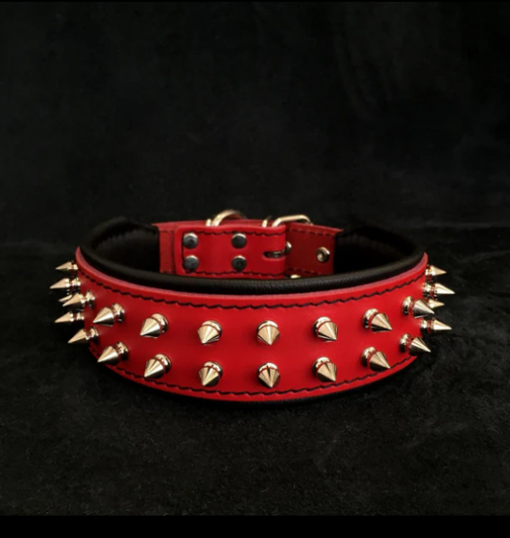 "Frenchie" Halsband
